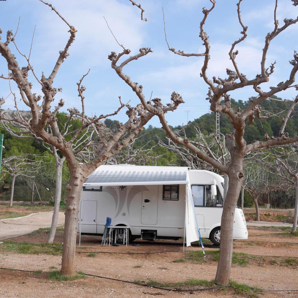 Camping Azahar Benicàssim Dış mekan fotoğraf