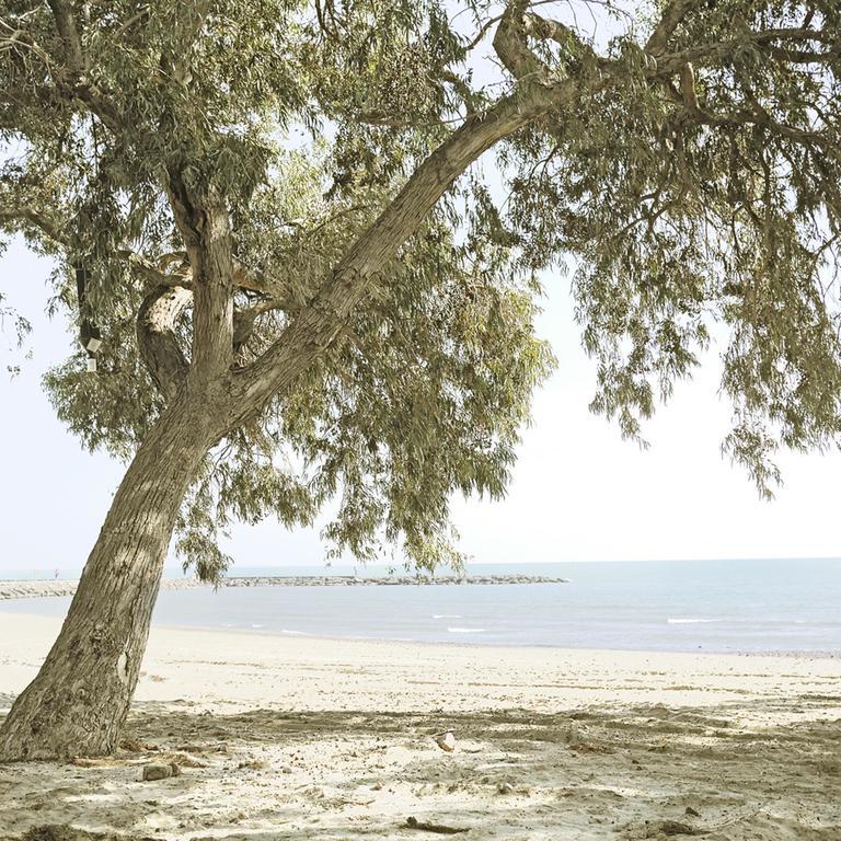 Camping Azahar Benicàssim Dış mekan fotoğraf